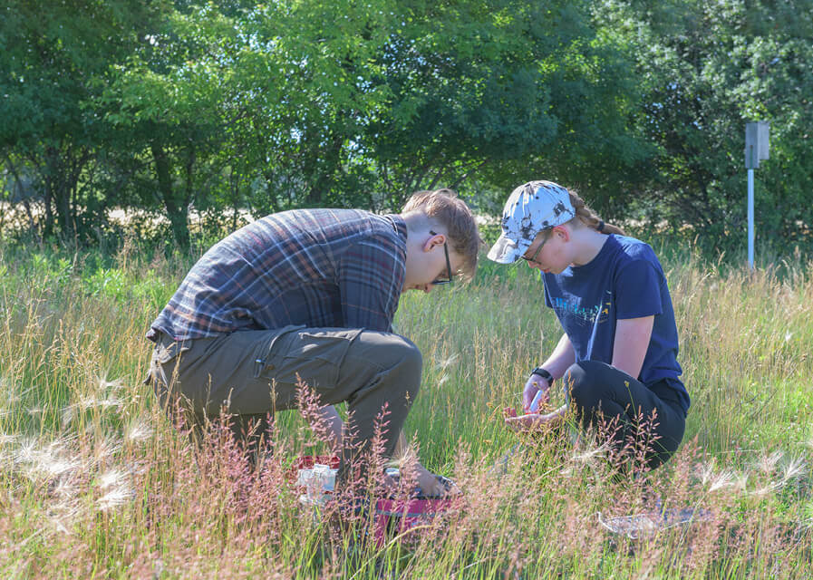 Students research in the field as part of their undergraduate research project