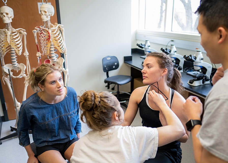 Students learn about the placement of muscles in the human body by painting them on each other's skin.